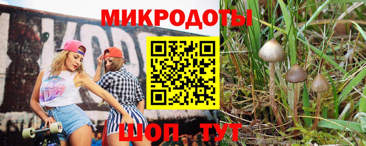 Галлюциногенные грибы мицелий Сокол