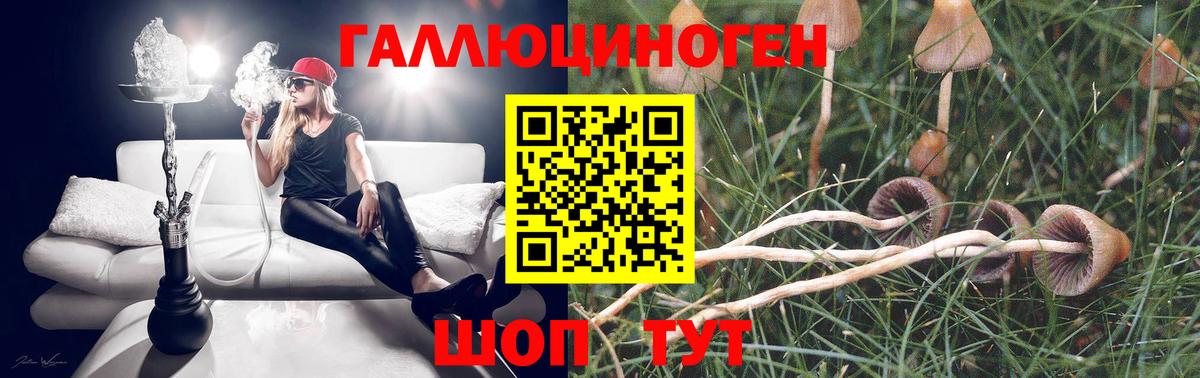 наркотики  Псилоцибиновые грибы Magic Shrooms  Вход с VPN  Сокол  Псилоцибиновые грибы Cubensis 